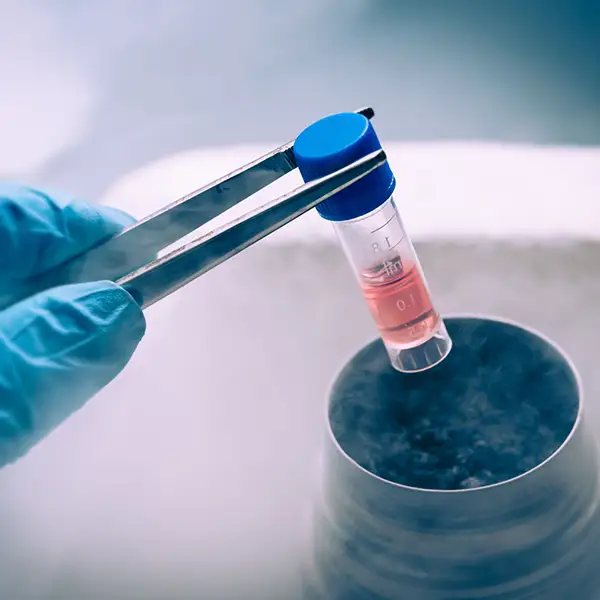 use of molecular sieve in pharmaceutical lab test