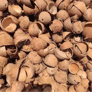 High-quality raw materials like coconut shell for activated carbon manufacturing - Medaad